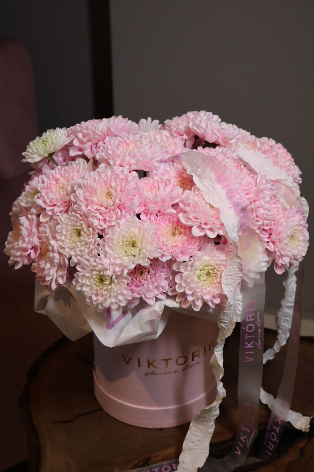 Pembe Krizantem Kutu